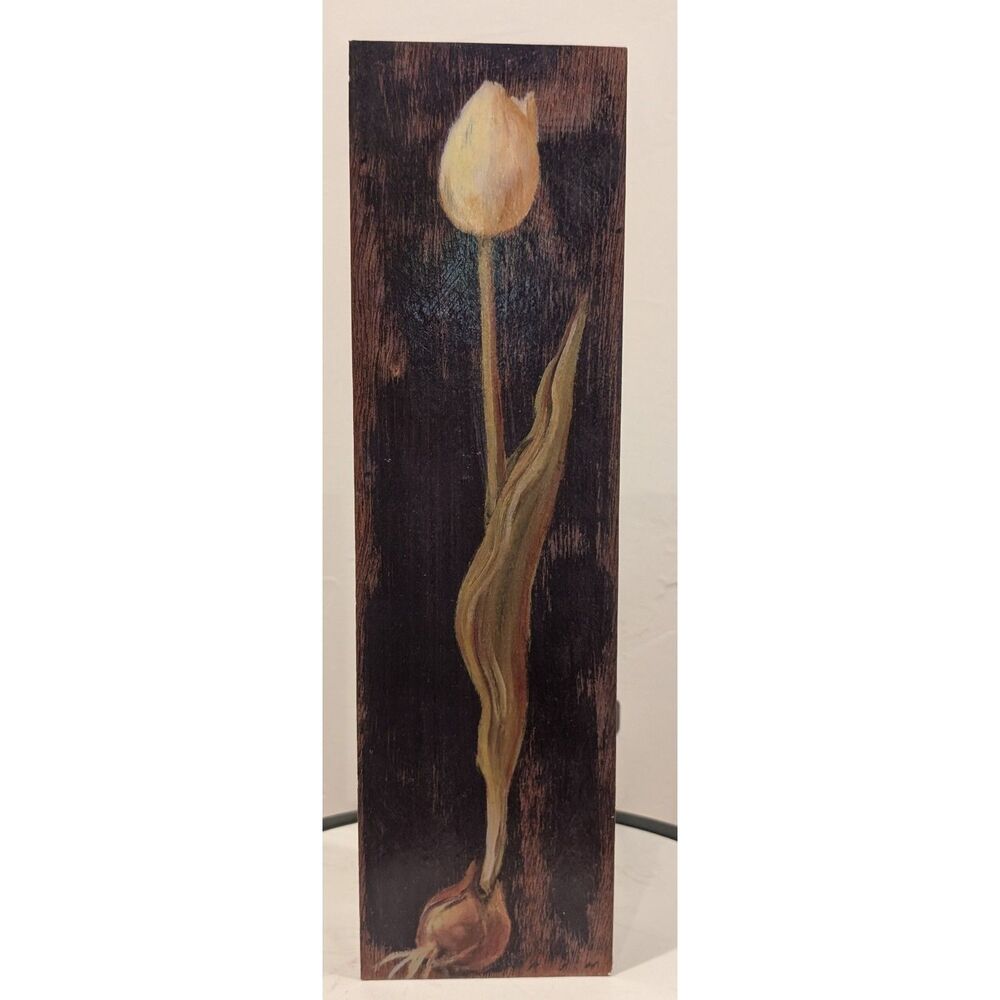 Vintage Visual Spaces Montreal Handcrafted Tulip Wood Box No 084